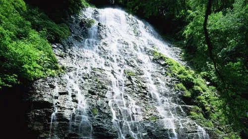 稳定性高端